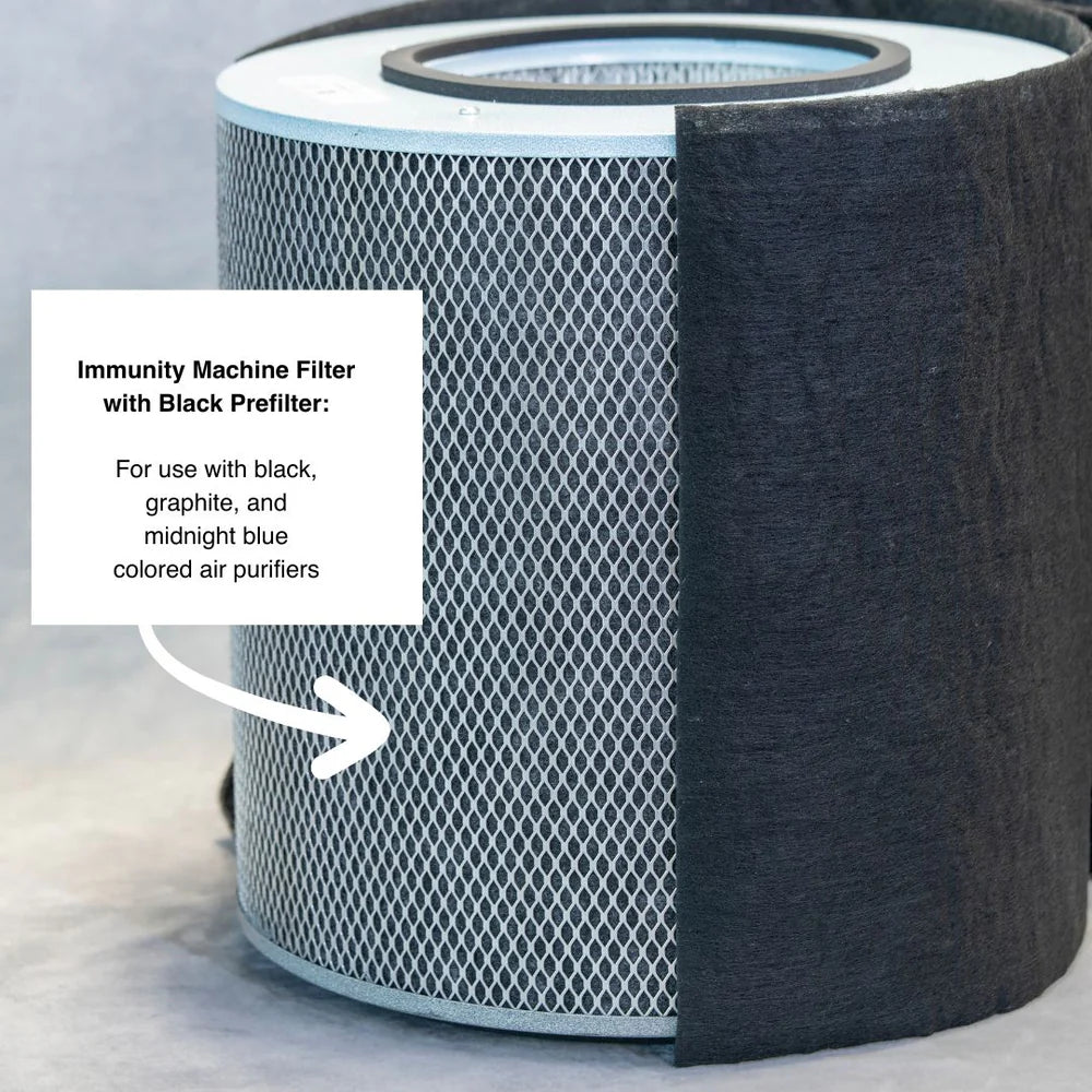 Austin Air Immunity Machine Replacement Filter | 8-Phase HEPA & Carbon Filter Upgrade