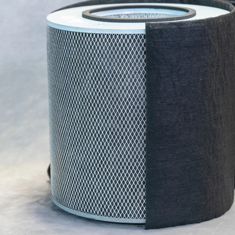Austin Air Immunity Machine Replacement Filter | 8-Phase HEPA & Carbon Filter Upgrade